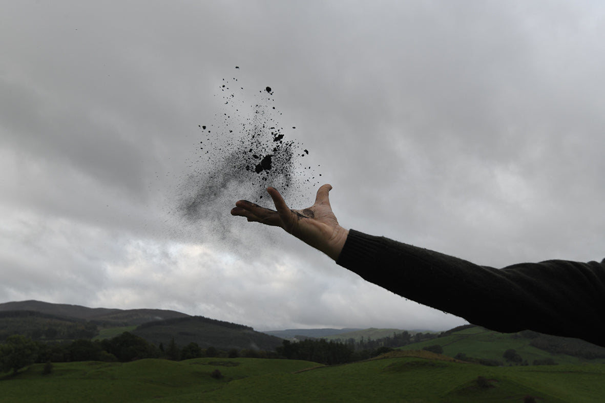 SOLD OUT: Andy Goldsworthy, 'Amazon Ash'