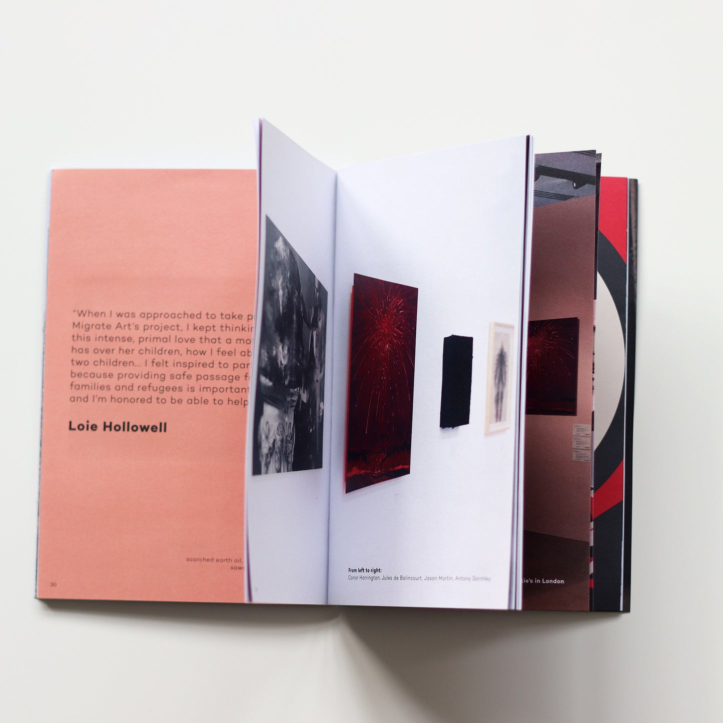 'Scorched Earth' Book