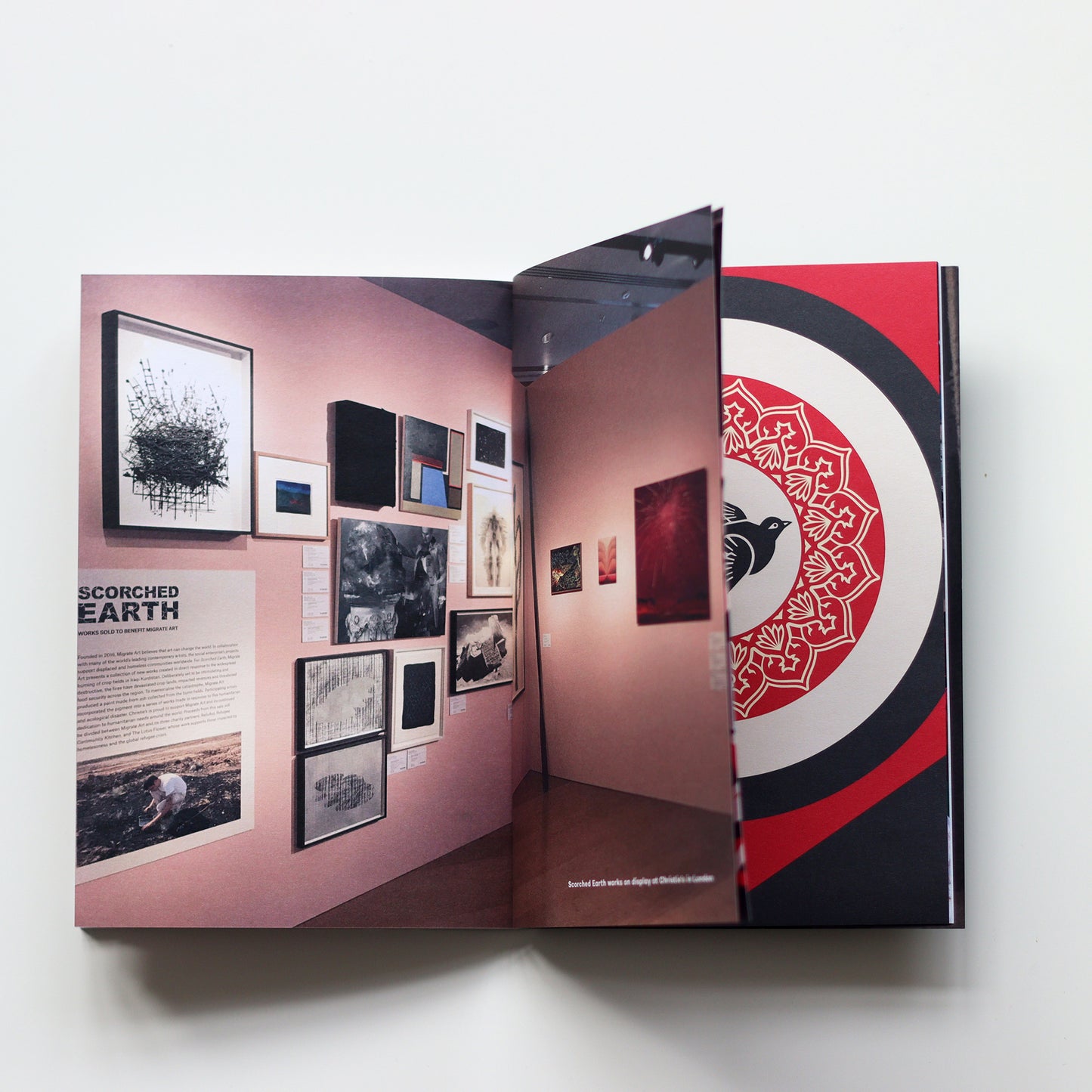 'Scorched Earth' Book