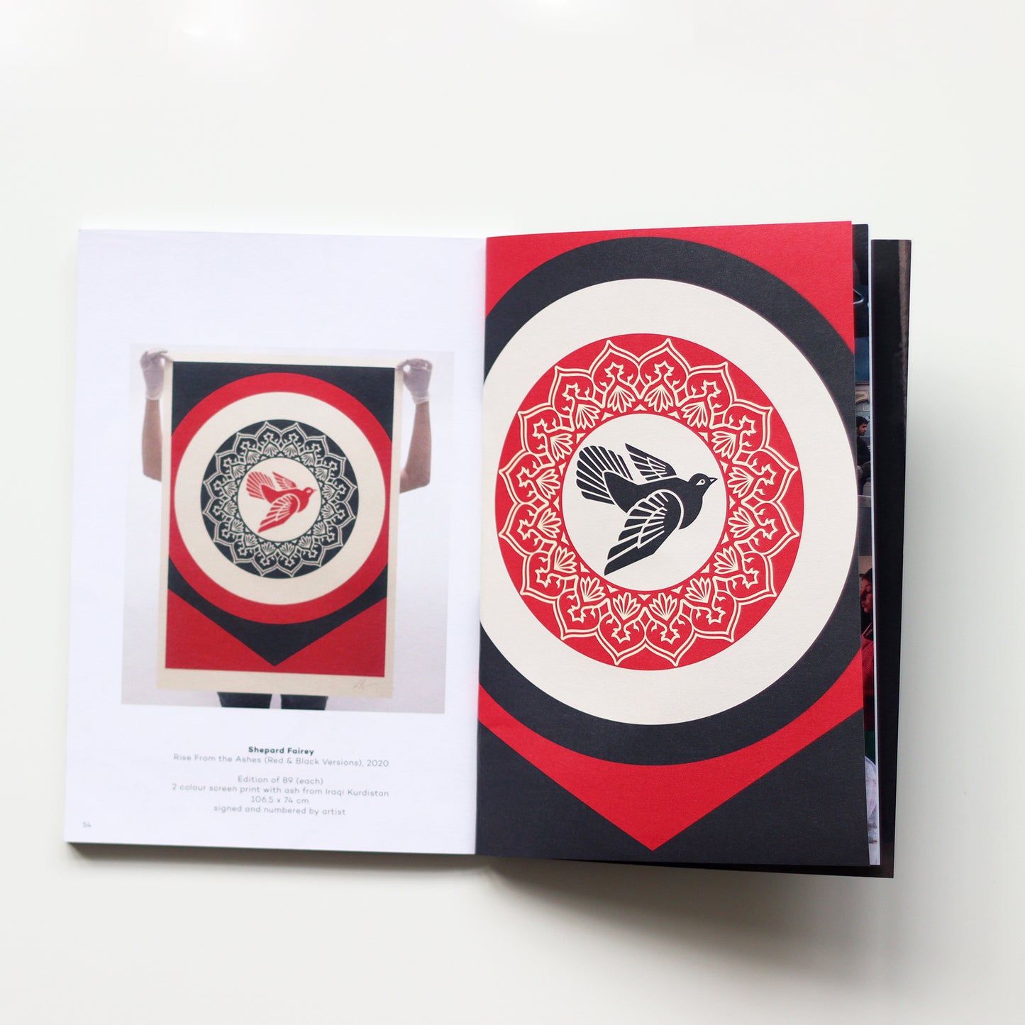 'Scorched Earth' Book