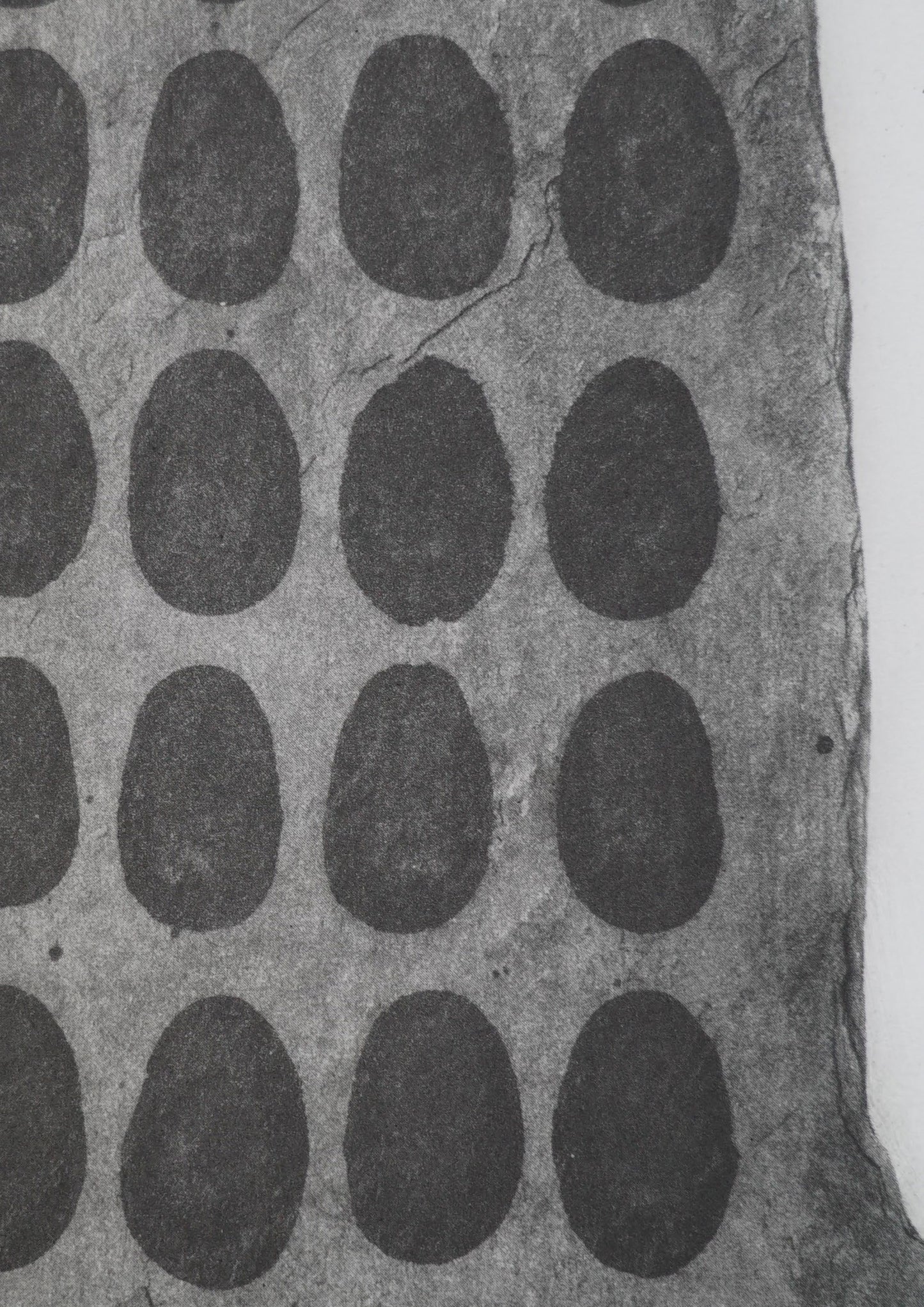 Prints with Purpose: Richard Long (AP)