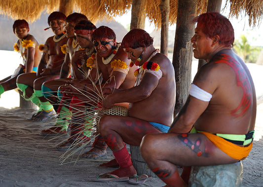 Visiting the Xingu Community in the Brazilian Amazon