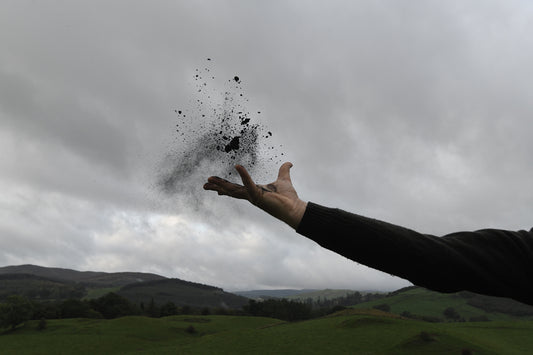 SOLD OUT: Andy Goldsworthy, 'Amazon Ash'