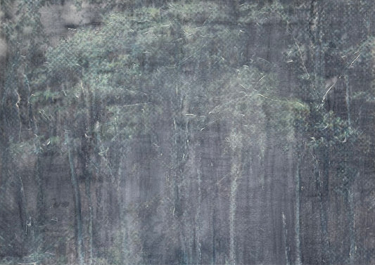 Glenys Johnson, 'Rainforest'